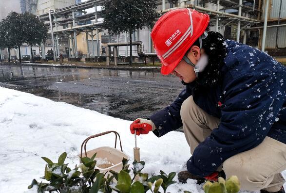 大唐环境特许经营分公司积极应对低温雨雪冰冻灾害