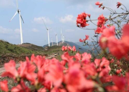 江西泰和：风力发电助力乡村振兴