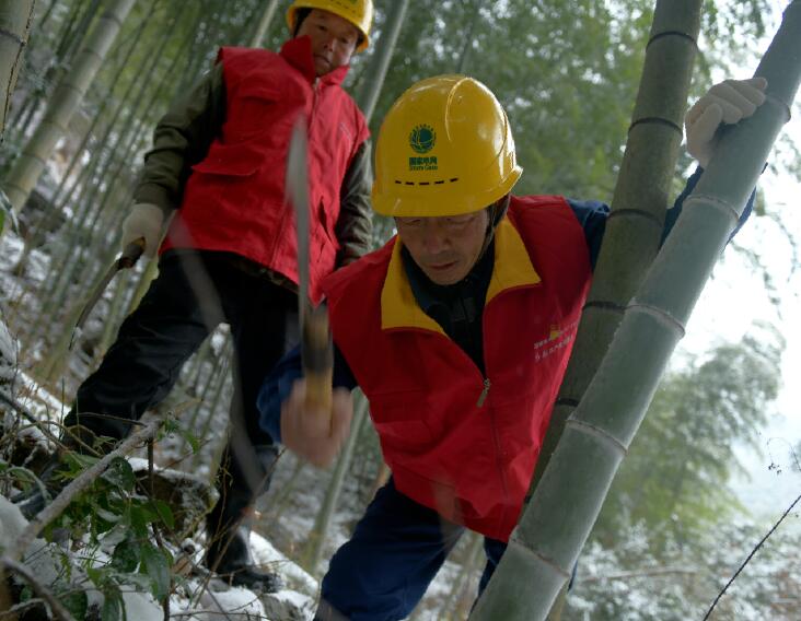 国网余姚市供电公司：入冬雪来袭 逆行保供电