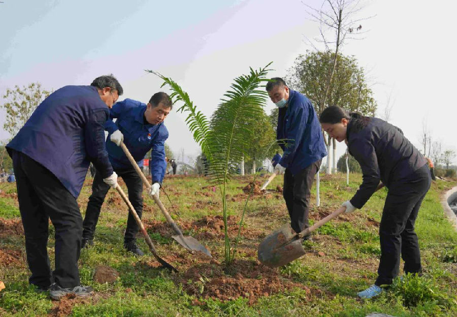 三峡集团保护珍稀植物植物突破1300种