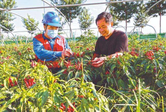 济南彩虹共产党员服务队：精心周到服务 守护“温泉花都”