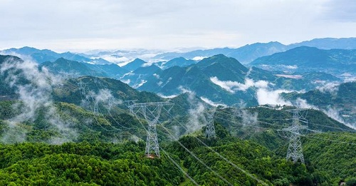 【非凡十年】国网浙江电力公司：不负绿水青山 之江勇立潮头