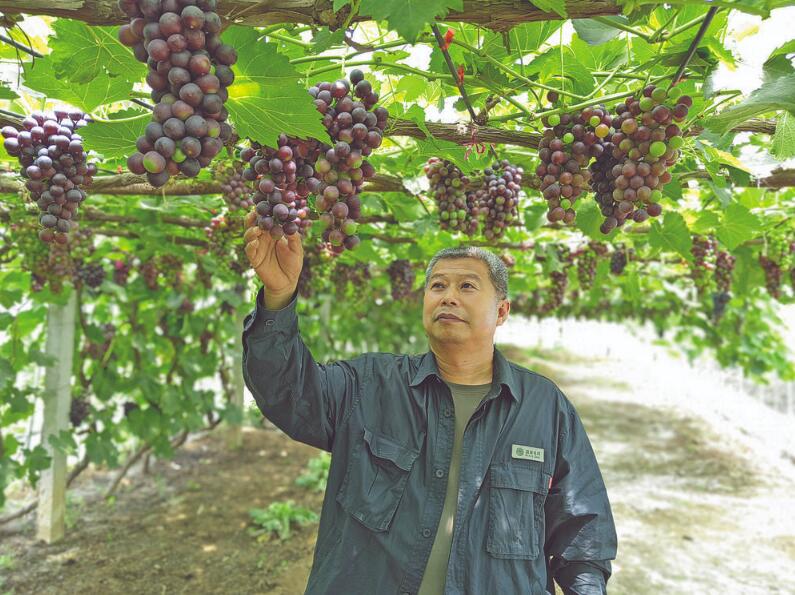 王软贞：心系小山村 为民办实事