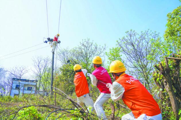 国网重庆电力公司报装接电线上办 快捷省力又省钱