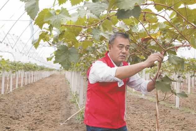 驻村第一书记王文国：黄河滩区村民圆了安居梦