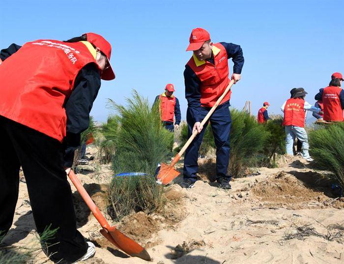 国网福州供电公司开展“保护湿地植于心·文明实践树未来”植树节主题活动