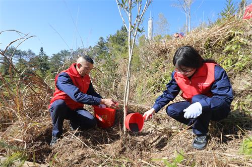 国网寿宁县供电公司：助力低碳发展 共建绿美生态