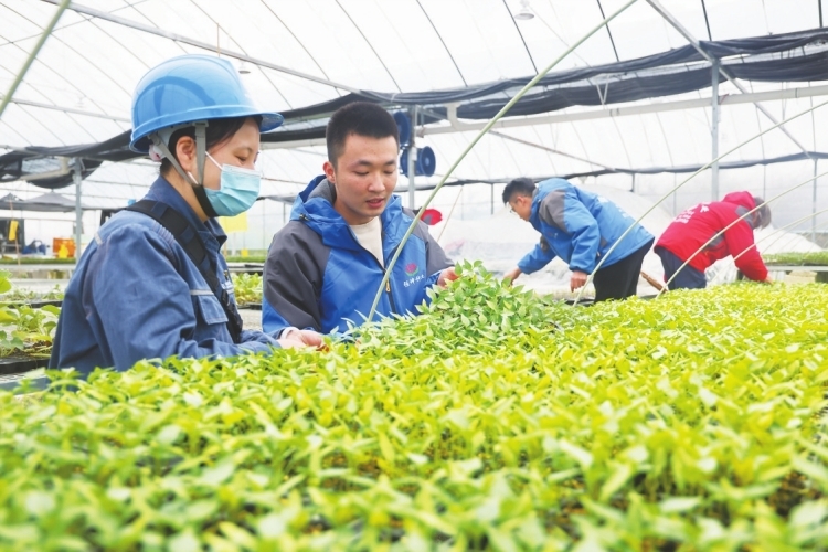 广西灵山智能巡检护航春灌