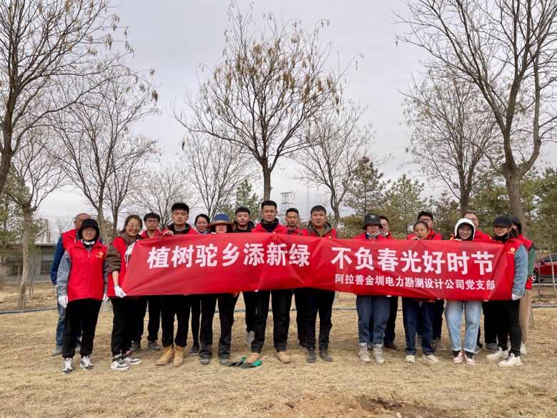 阿拉善金圳电力设计公司：植树驼乡添新绿 不负春光好时节