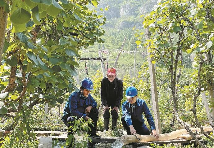 “24小时电管家”进网格 村民办电更便捷