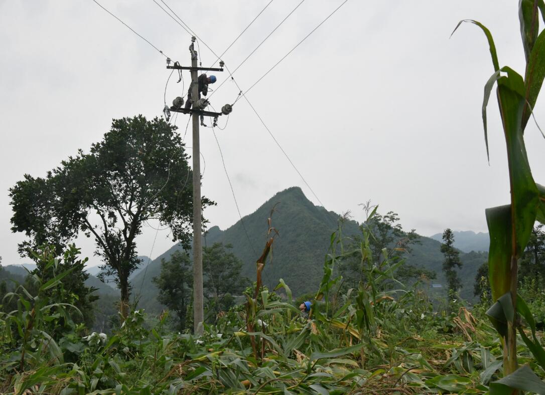 贵州德江供电局雨后抢修保供电 保民生