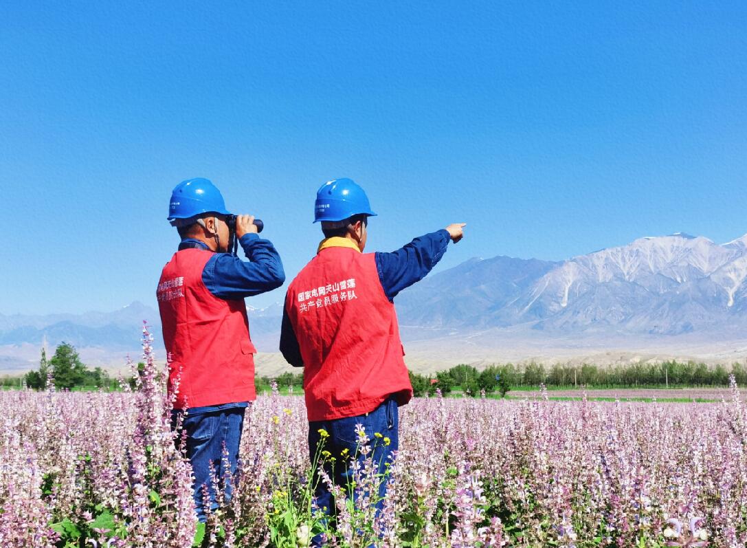 国网博尔塔拉供电公司花开时节保电忙 助力乡村“旅游红”