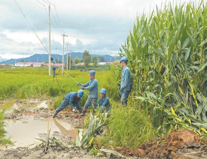 国网吉林电力公司全力应对强降雨 保障汛期电网安全