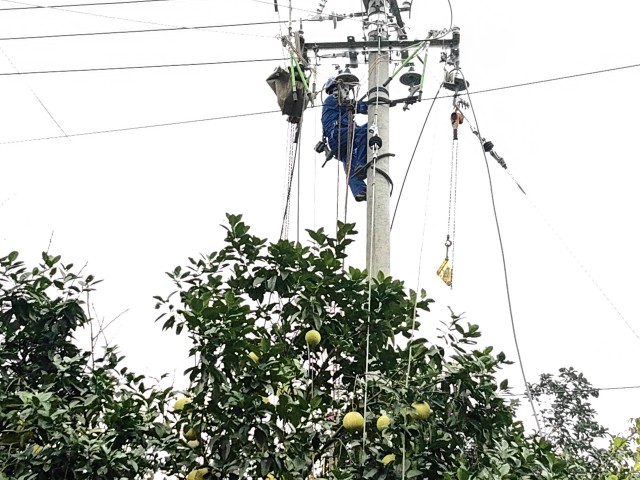 四川自贡：农网升级改造 乡村振兴电力足