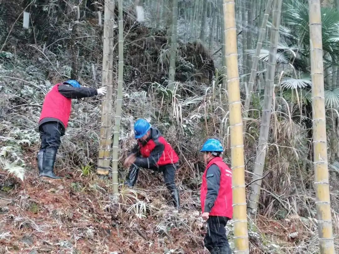 国网建阳区供电公司全力防抗今冬首场降雪寒潮