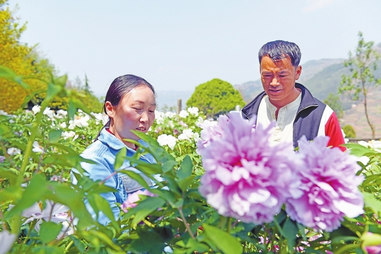 项利萍：七年驻村路 哭过笑过从没放弃过