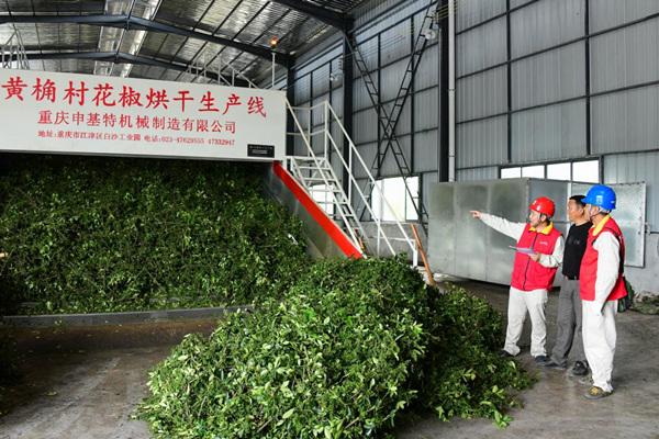 国网重庆市电力公司“电靓和美乡村”故事大赛作品火热征集中