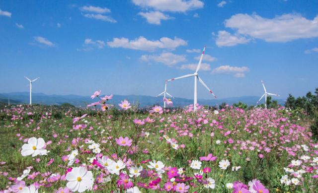 中广核在滇绘制清洁能源高质量发展新图景