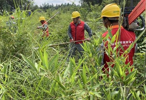 国网茶陵县供电公司线路通道治理