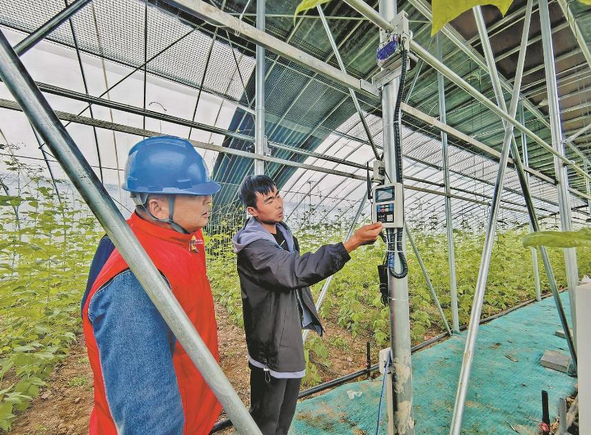 宁夏贺兰县智慧冷棚成就乡村“热产业”