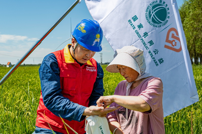 国网蒙东电力公司案例亮相联合国气候、生物多样性大会